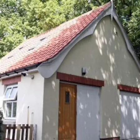 Appartamento The Tree House Whitby Esterno foto