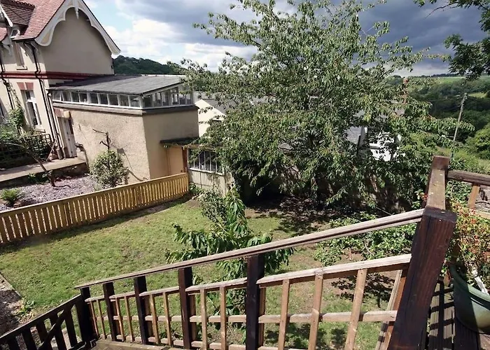 The Tree House