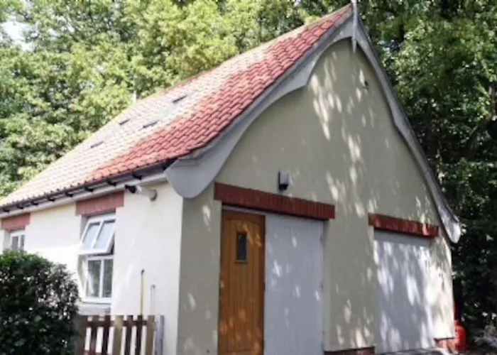 The Tree House